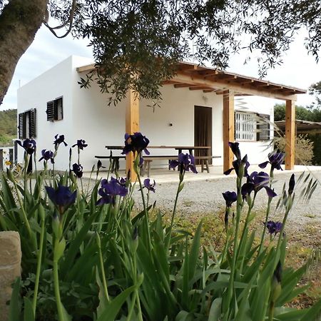 Sa Vinya Casa De Campo Эс-Кубельс Экстерьер фото