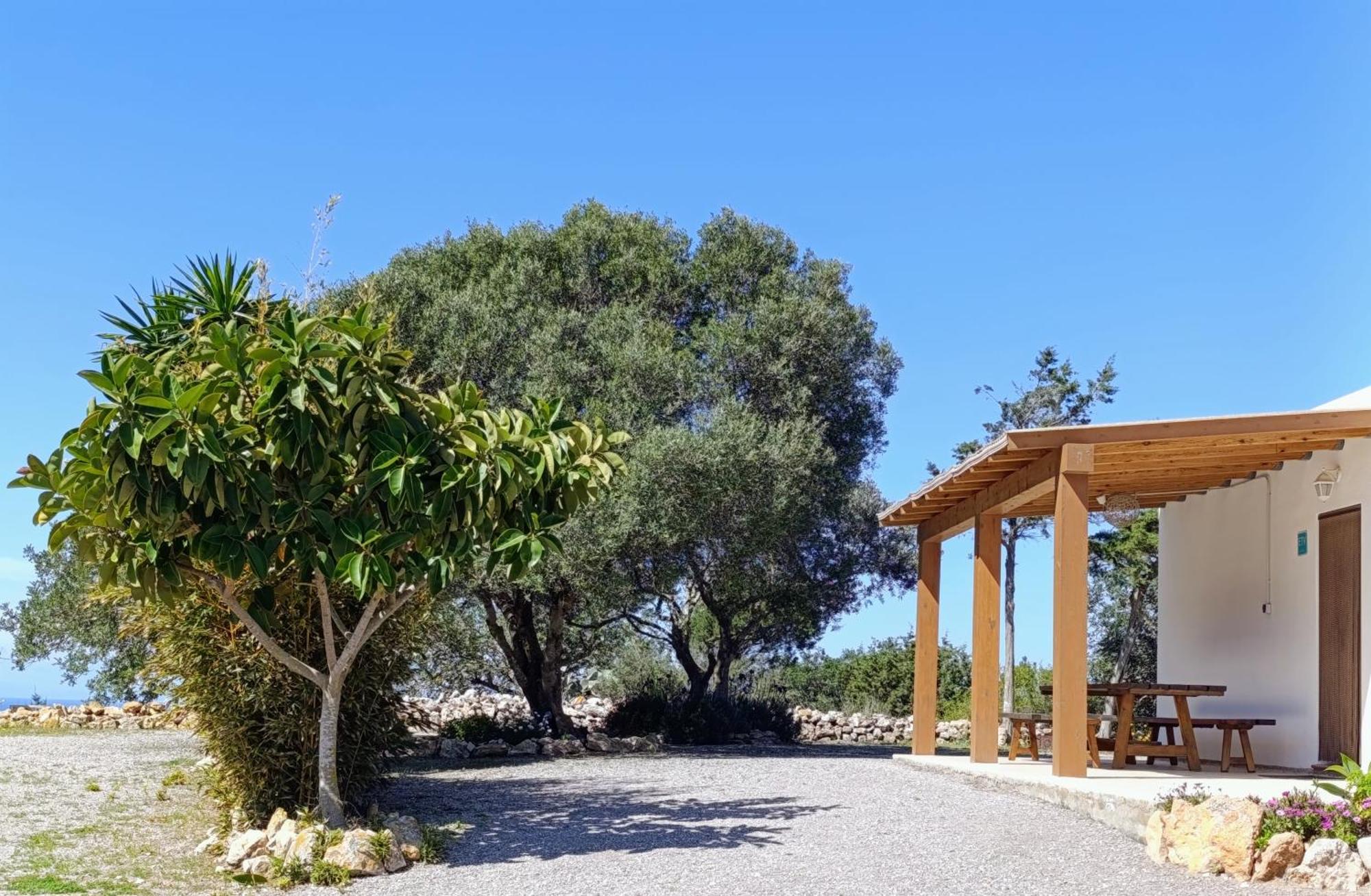 Sa Vinya Casa De Campo Эс-Кубельс Экстерьер фото